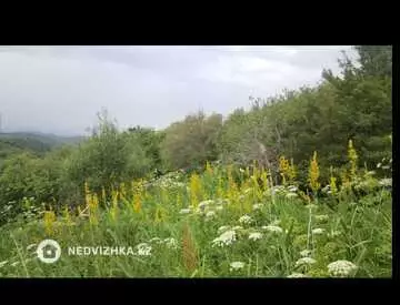 Участок 1.16 га