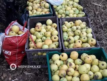 0 м², Участок 1.16 га, изображение - 13
