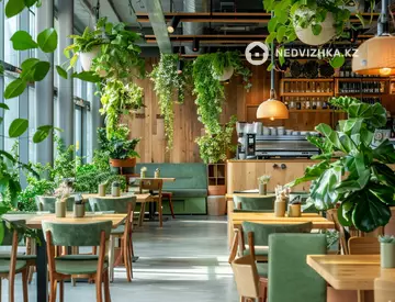 Общепит в отдельно стоящее здание, этаж 1 из 1, 750 м²