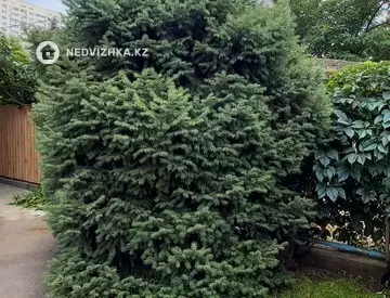 3-комнатный дом, 4 соток, 68 м²