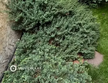 68 м², 3-комнатный дом, 4 соток, 68 м², изображение - 9