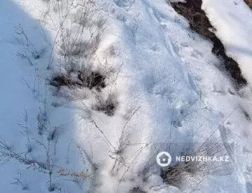Участок 8.0 га