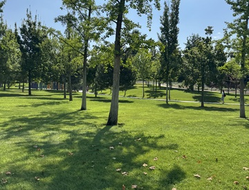 Фотография профиля