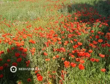 Участок 20.0 соток