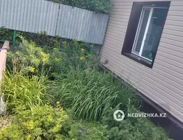 Помещение, этаж 1 из 1, 54 м²