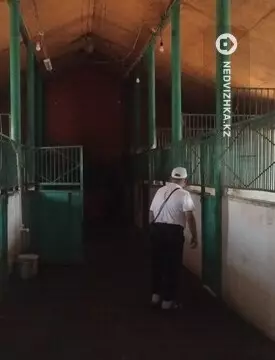 2000 м², Готовый бизнес, отдельно стоящее здание, этаж 2 из 2, 2 000 м², изображение - 12