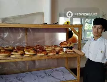 Общепит в отдельно стоящее здание, этаж 1 из 1, 500 м²