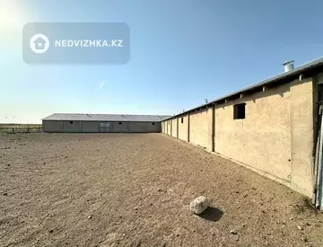 Готовый бизнес, отдельно стоящее здание, этаж 1 из 1, 1 200 м²