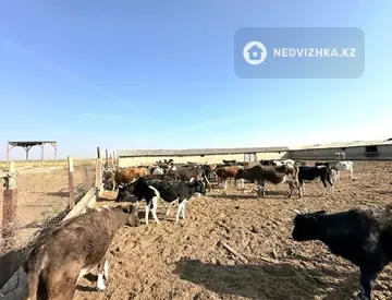 Готовый бизнес, отдельно стоящее здание, этаж 1 из 1, 1 200 м²