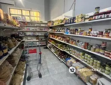 Производственное помещение, этаж 1 из 1, 55 м²