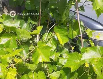 2-комнатный дом, 6 соток, 25 м²