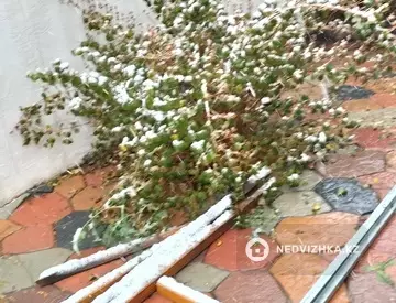 1-комнатный дом, 24 соток, 40 м²