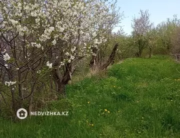 Участок 25.0 соток