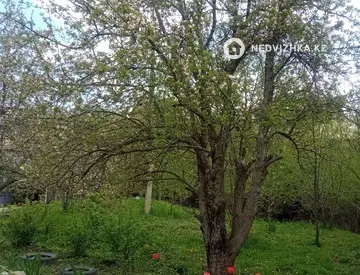 Участок 25.0 соток