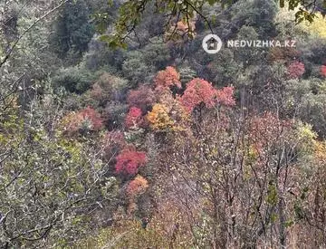 Участок 6.0 соток