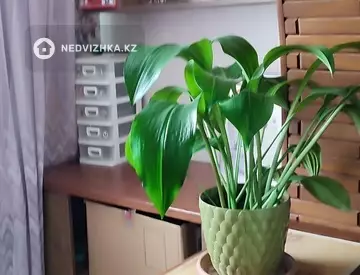 2-комнатная квартира, этаж 4 из 5, 60 м²