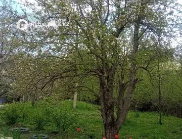 Участок 25.0 соток