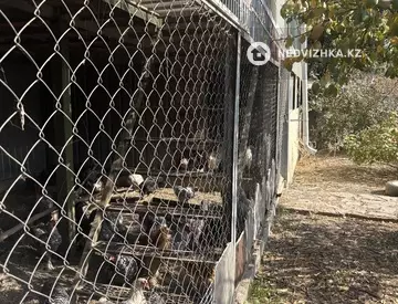 3-комнатный дом, 30 соток, 85 м²