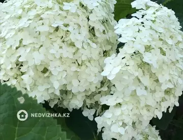 5-комнатный дом, 25 соток, 250 м²