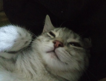 Фотография профиля