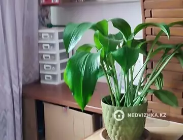 2-комнатная квартира, этаж 4 из 5, 60 м²