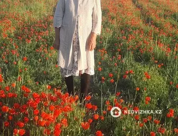 4-комнатный дом, 7 соток, 110 м²