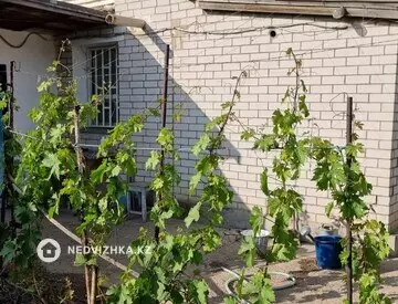 3-комнатный дом, 5.5 соток, 82 м²