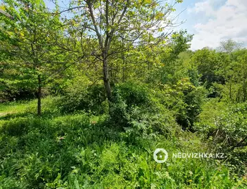 Участок 10.0 соток