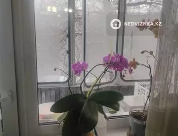 2-комнатная квартира, этаж 4 из 5, 45 м²