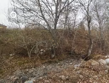 Участок 6.0 соток