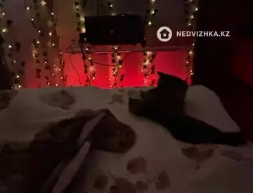 2-комнатный дом, 9 соток, 50 м², на длительный срок