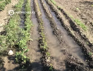 1-комнатный дом, 18 соток, 2 м²