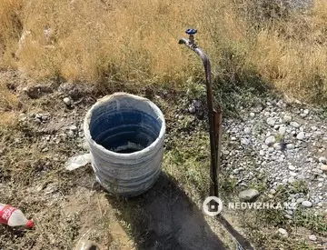 Участок 8.0 соток