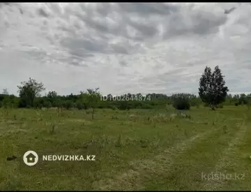 Участок 8.0 га