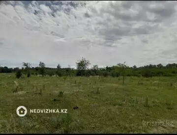 Участок 8.0 га