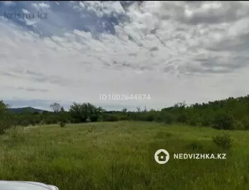 Участок 8.0 га