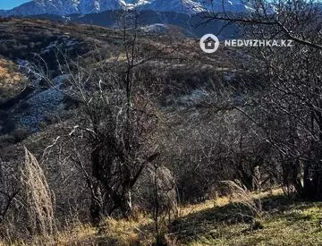 Участок 300.0 соток