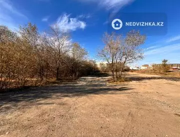 Участок 20.0 соток