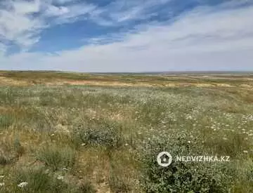 Участок 51.0 га