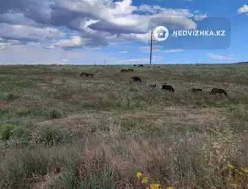 Участок 143.0 га