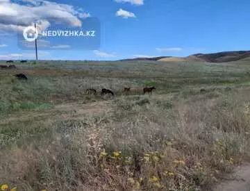 Участок 143.0 га