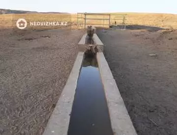 Участок 143.0 га