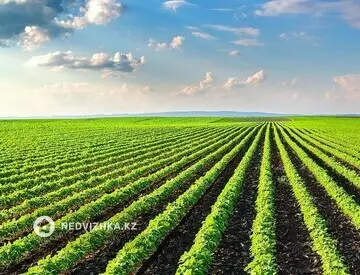 Участок 43.0 га