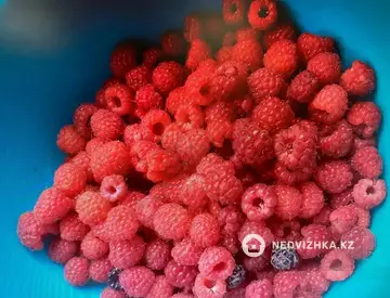 3-комнатный дом, 6 соток, 60 м²