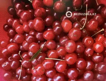 3-комнатный дом, 6 соток, 60 м²