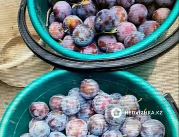 3-комнатный дом, 6 соток, 60 м²