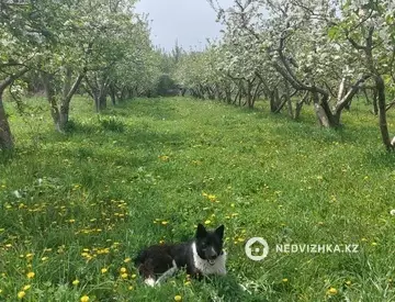 Участок 160.0 соттық