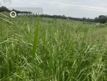 Участок 635.0 соток