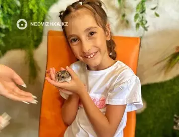 Здание, 2 этажа, 850 м²