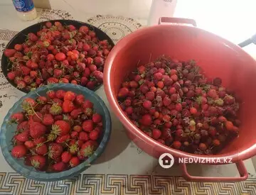 Участок 6.3 соток